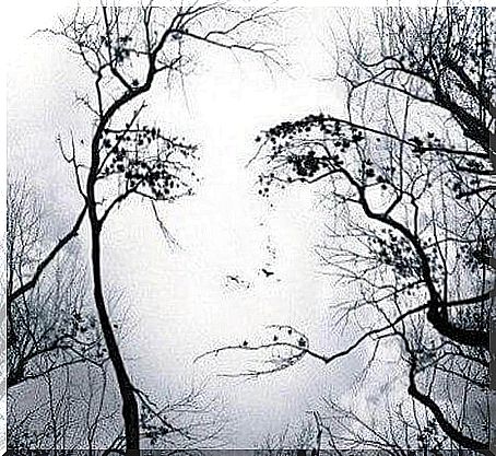 Branches form face