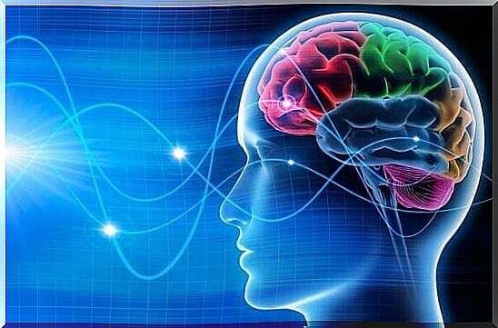 Brain waves: delta, theta, alpha and gamma