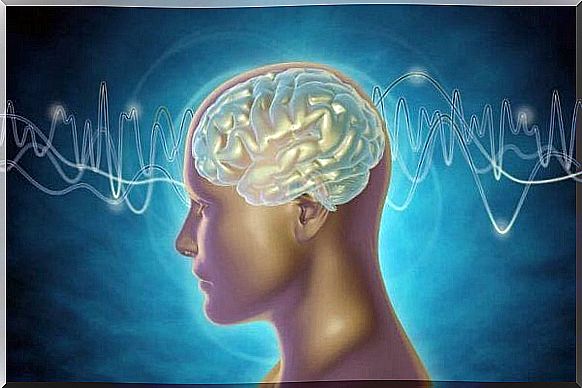 Types of brain waves