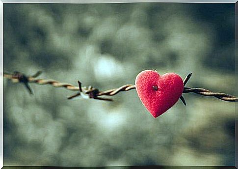 Heart on barbed wire