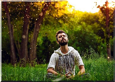 man meditating in a field