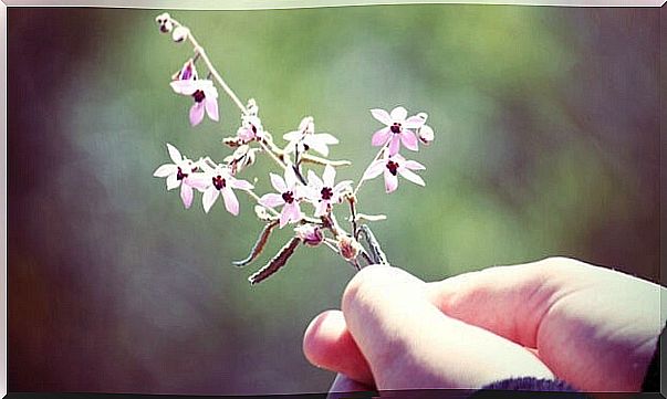 Person holding flower