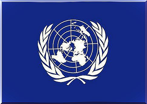 United Nations Flag