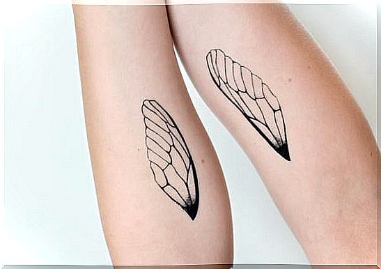 Tattoo of wings