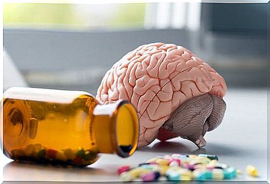 Brain and vitamins.